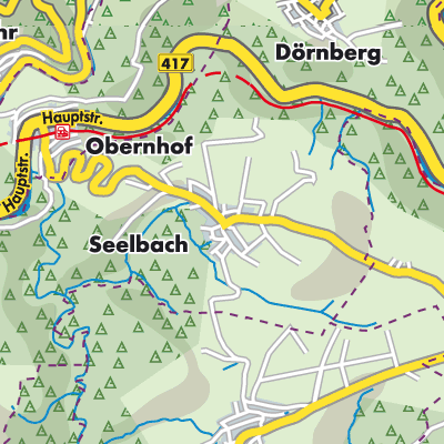 Übersichtsplan Seelbach