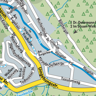 Stadtplan St. Blasien