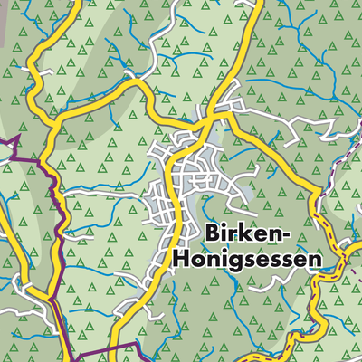 Übersichtsplan Birken-Honigsessen