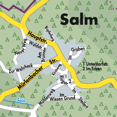 Stadtplan Salm