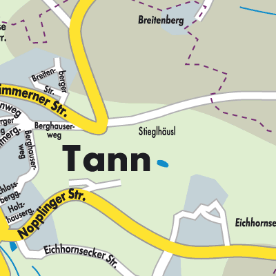 Stadtplan Tann