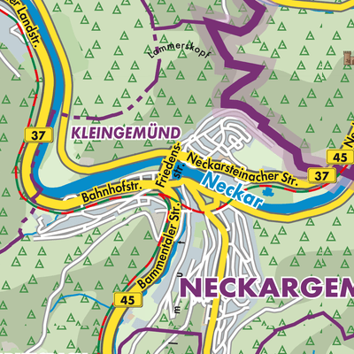 Übersichtsplan Neckargemünd